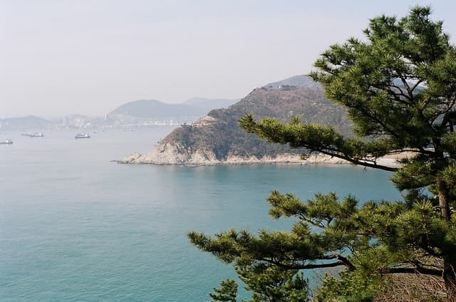 태종대
